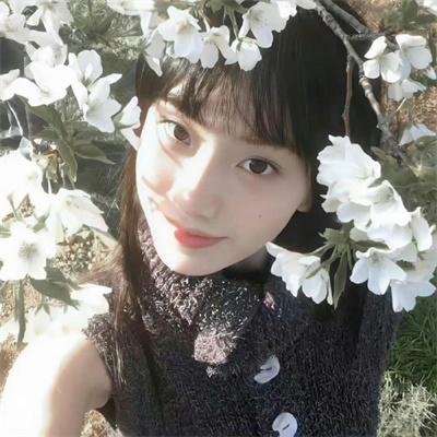 女生日记之做决定事务所
